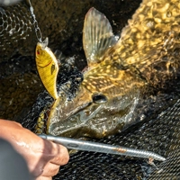 Berkley Zilla Flanker 11cm/29g